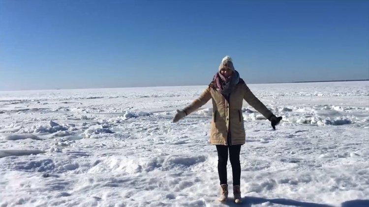 Kuzey Amerika'da okyanusun donmuş hali