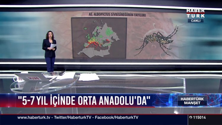 Zika tehlikesi Türkiye'de