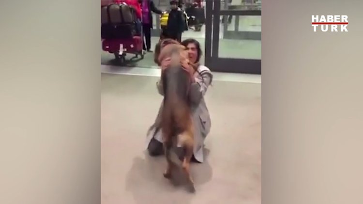 Sahibiyle aylar sonra karşılaşan köpeğin sevinci