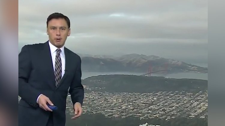 Hava durumu sırasında kamerayı kontrole gelen karga