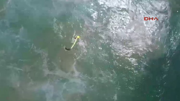 Avustralya'da drone iki genci boğulmaktan kurtardı