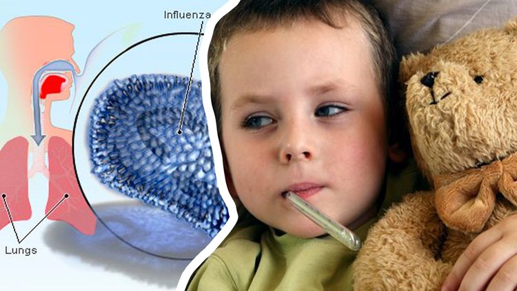 İnfluenza gribi nedir, nasıl tedavi edilir?