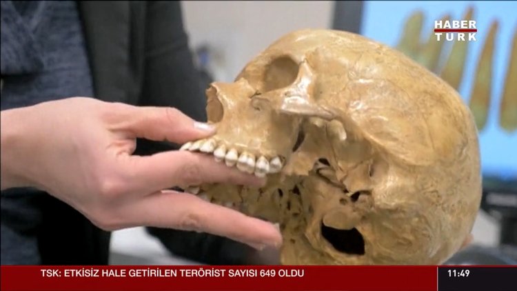 200 bin yıllık insan fosili