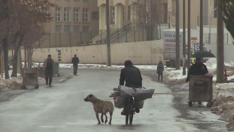 Köpeği boynundan bağlayarak peşinden sürükledi