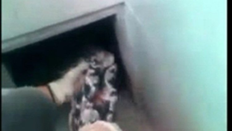 Tarsus'ta operasyon: Duvarın içinden cephanelik çıktı