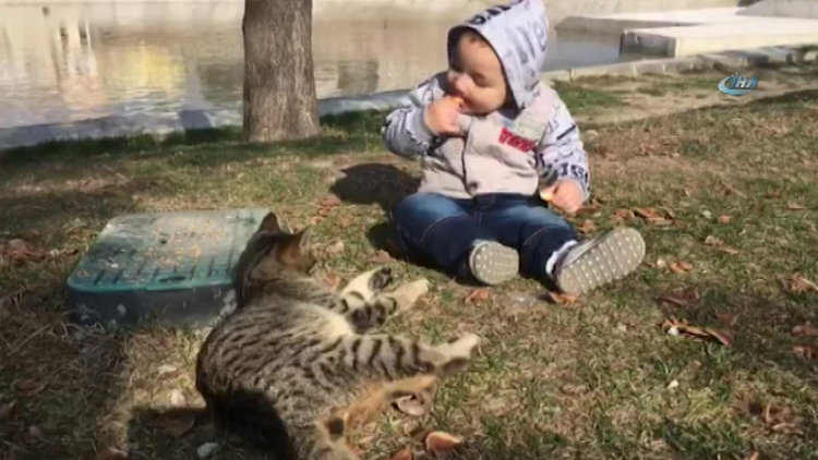 Kediyle simidini paylaşan çocuğun sevimli halleri