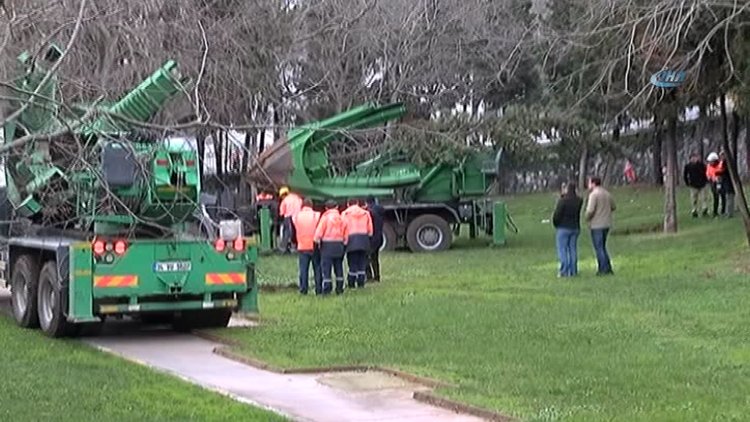 Maçka Parkındaki ağaçlar sökülmeye başlandı