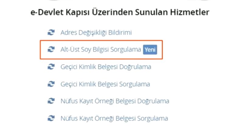 e-Devlet soyağacı sorgulama hizmeti yeniden açıldı
