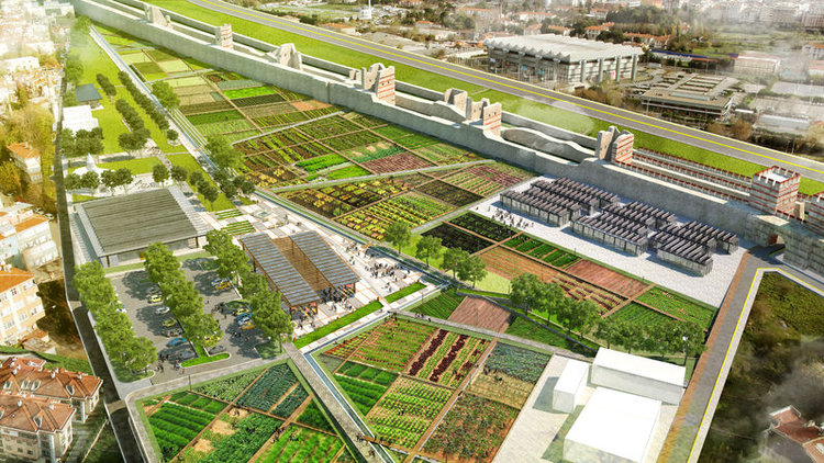 Yedikule Bostanları&#039;na &#039;Kentsel Tarım Parkı&#039; yapılacak