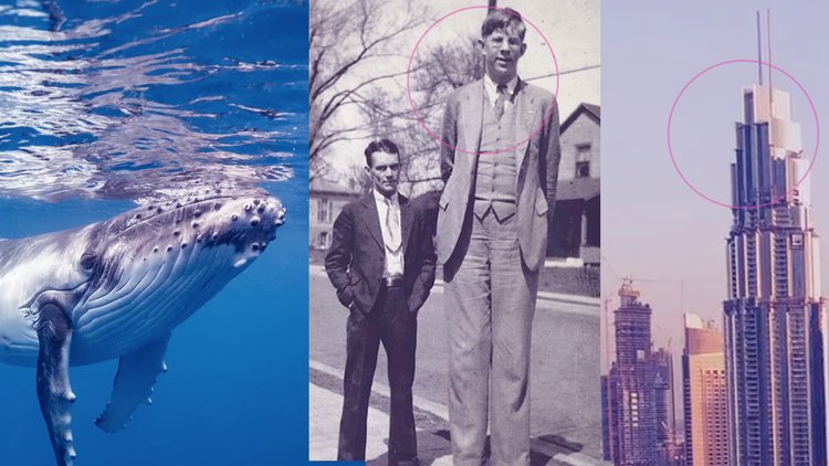 Dünyanın en kalabalık, en yüksek ve en büyükleri