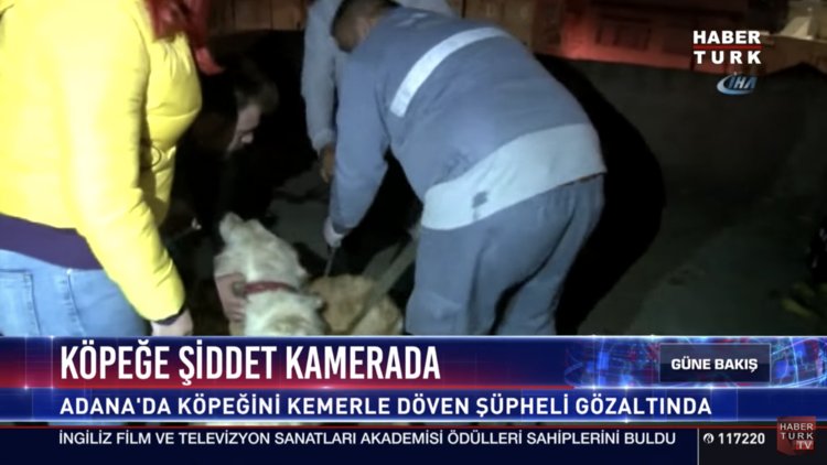 Köpeğe şiddet kamerada