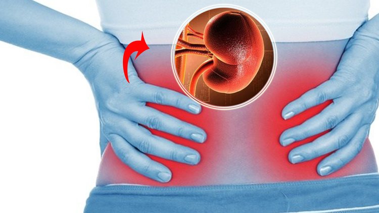 Böbrek yetmezliğine yol açan nedenler