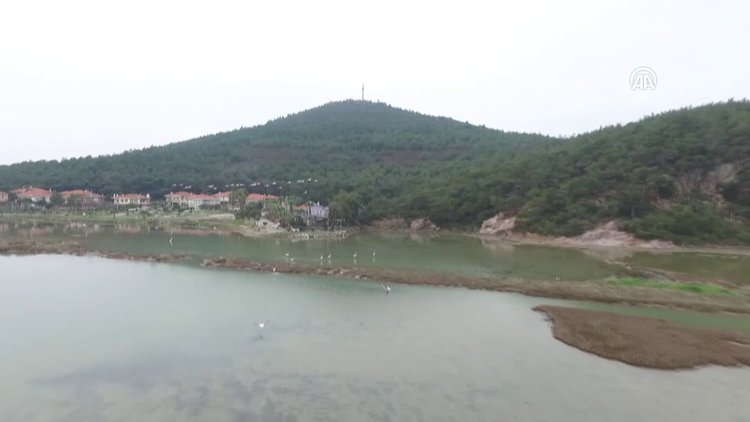 Şeytan Sofrası Lagünü'nü flamingolar renklendiriyor