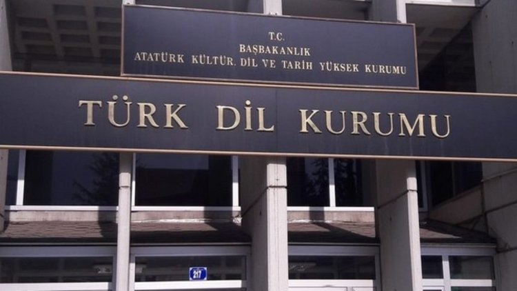 Mahkemeden TDK kararı... O kelimeler kaldırılıyor