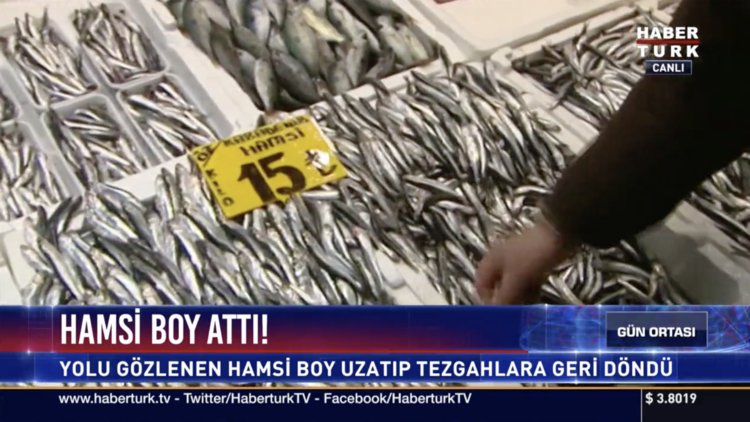 Hamsi boy attı