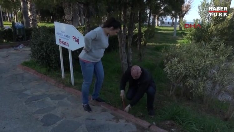 Turistlerin dikkati köpeği kurtardı