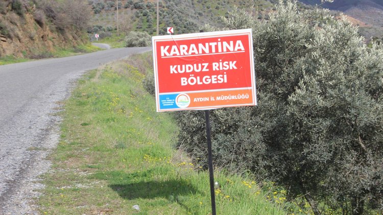 Aydın'da bir mahalle kuduz nedeniyle karantinaya alındı