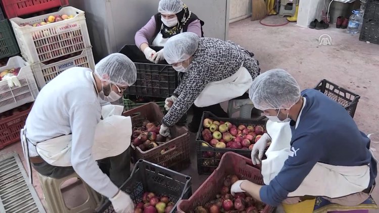 Kadın girişimci KOSGEB desteğiyle sirke ve pekmez ihracatçısı oldu