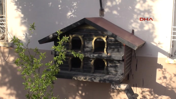 30 yıldır hayvanlara konforlu barınak yapıyor