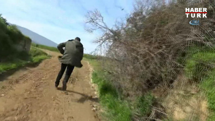 Karşısında inek sürüsünü gören muhabir röportajı bırakıp kaçtı