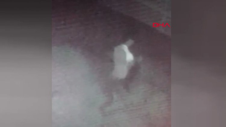 Yavru köpeği işkence yaparak öldürdü