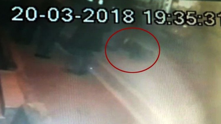 Pompalı tüfekle sokakta dehşet saçtı