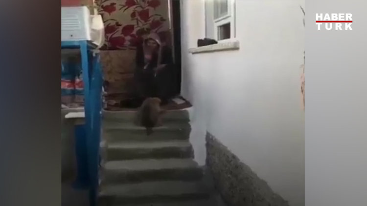 Yavru köpeği Ege şivesiyle karşılayan Hatice Teyze