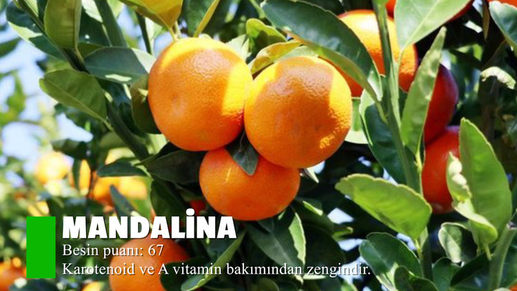 En besleyici besinler