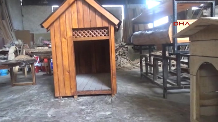 Atıl tahta parçalarından barınak yaptı, kampanya açtı