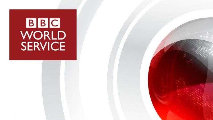 Floridalı ailenin yüzme havuzuna gizlice giren timsaha baskın