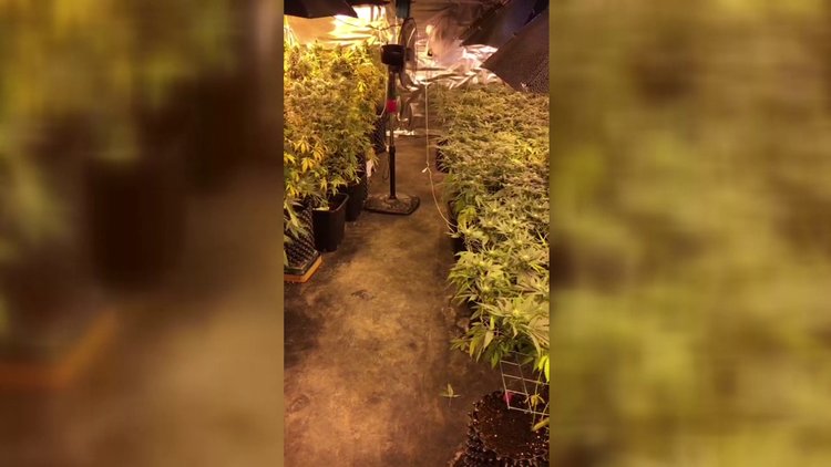 Uyuşturuucu evi emekli astsubayın çıktı