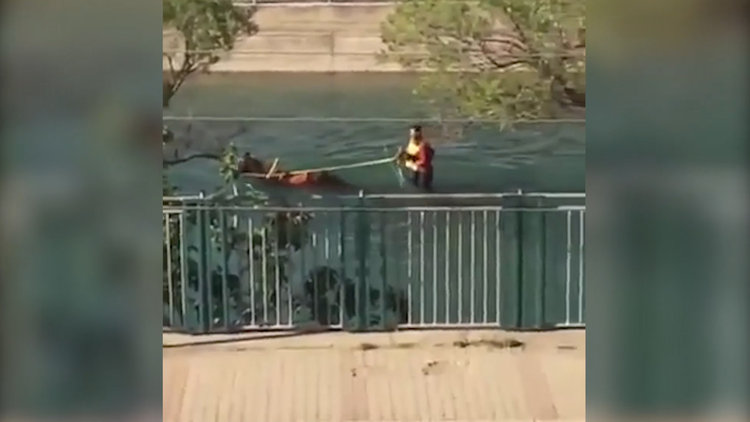 Kavurucu sıcaklar yüzünden faytonla kanalda ilerledi