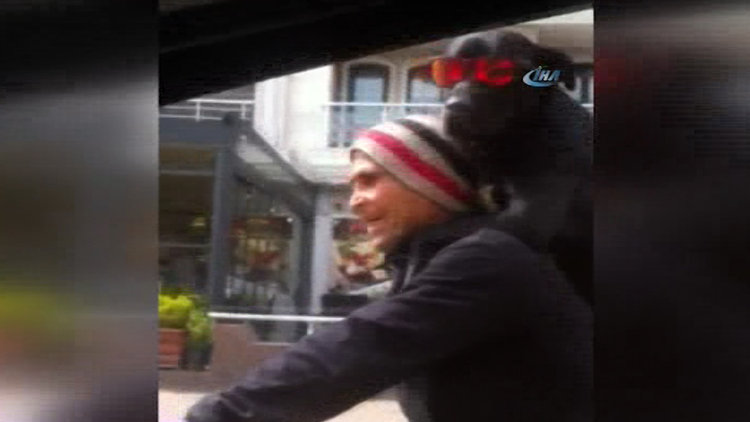 Güneş gözlüklü köpeğin bisikletle yolculuğu