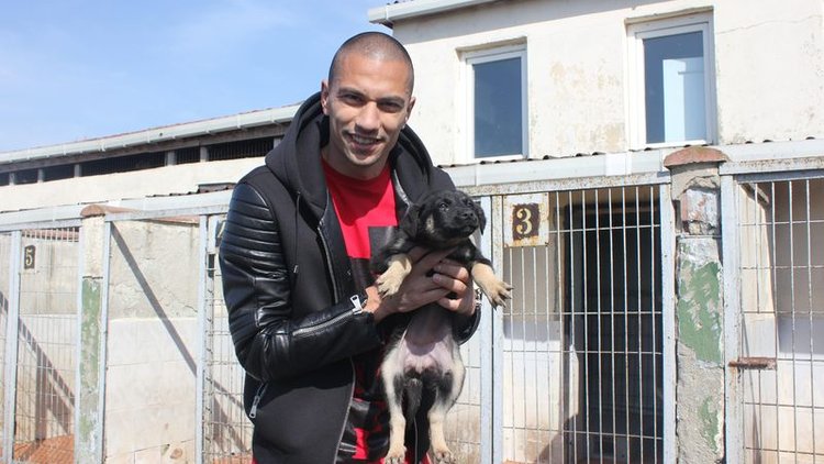 Gökhan İnler'in hayvan sevgisi