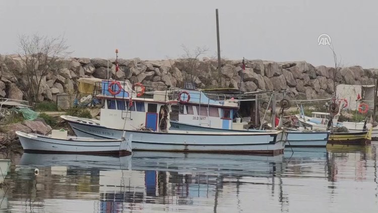 Karadenizli balıkçılar umduğunu bulamadı