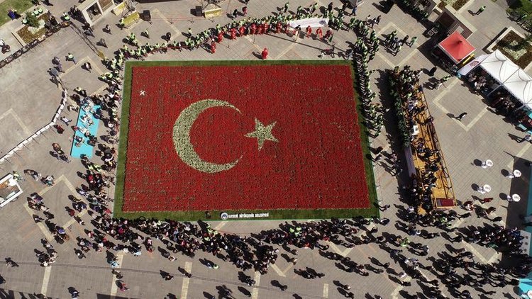 Türk bayrağı temalı lale peyzajıyla dünya rekoru