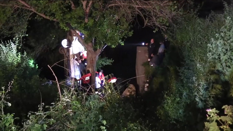 Otomobil metrelerce yükseklikteki ağaçta asılı kaldı