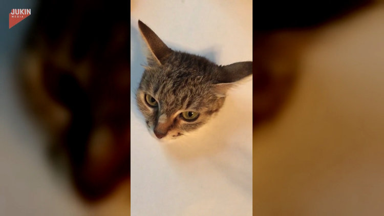 Aşırı gerçekçi çizimde son nokta