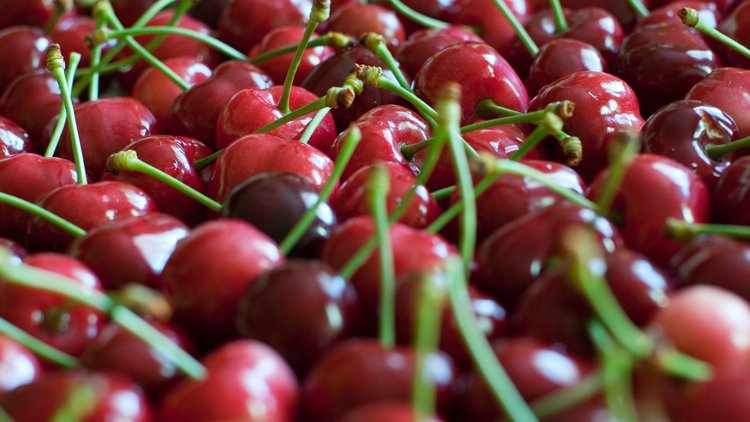 Kiraz bu yıl pahalı olacak! Tarlada 15 lira sofrada ise...