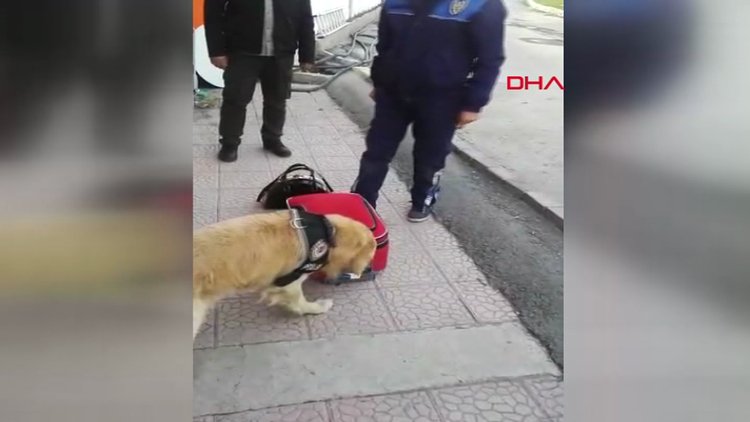 Sütyeninden eroin çıktı