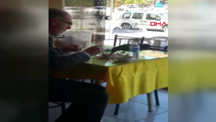 Yemeğini karga ile paylaşan hayvansever