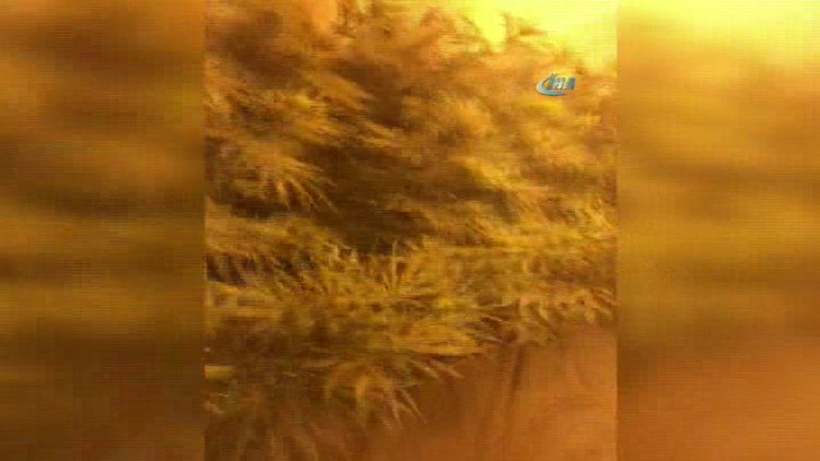 Lüks villaya giren jandarma gözlerine inanamadı