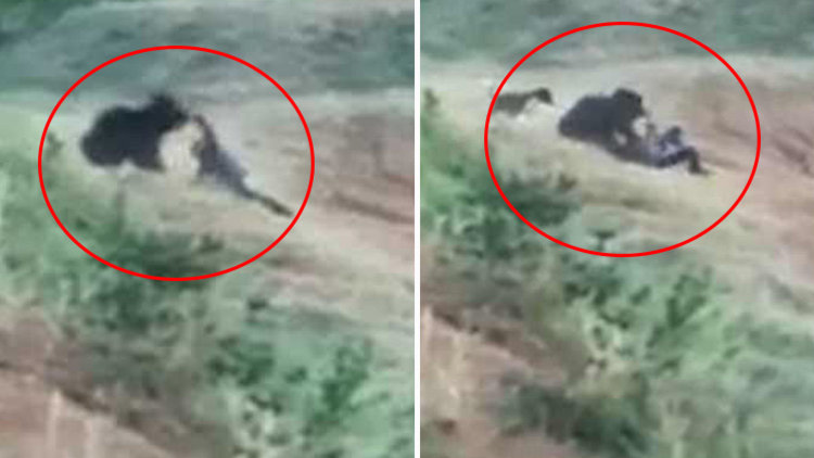 Selfie çekilmek için ayıya yaklaştı... Sonrası korkunç!