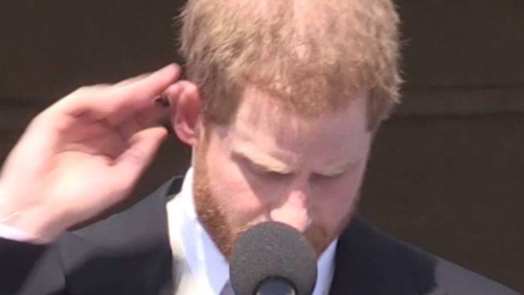 Prens Harry'yi evlilik sonrası katıldığı ilk etkinlikte arı soktu