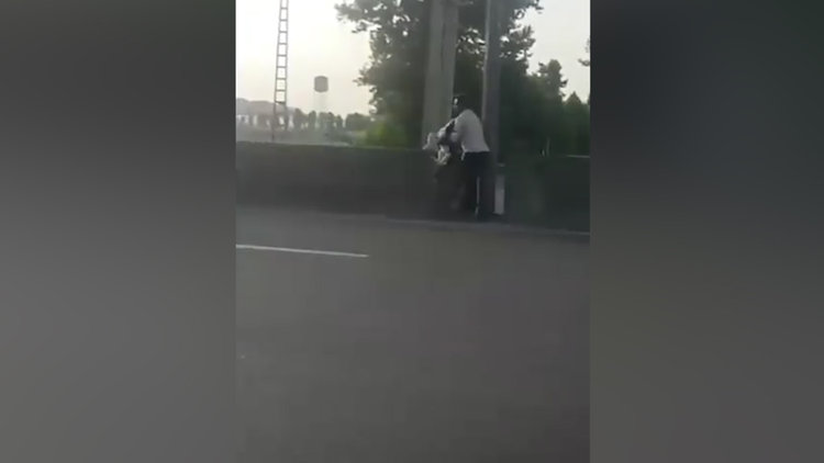 Canını hiçe sayıp otoyolun kenarında mahsur kalan köpeği kurtardı