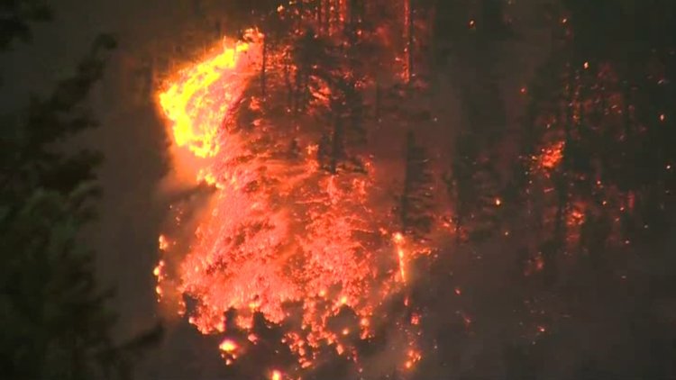 Orman yangını çıkaran çocuğa 36 milyon dolar ceza!