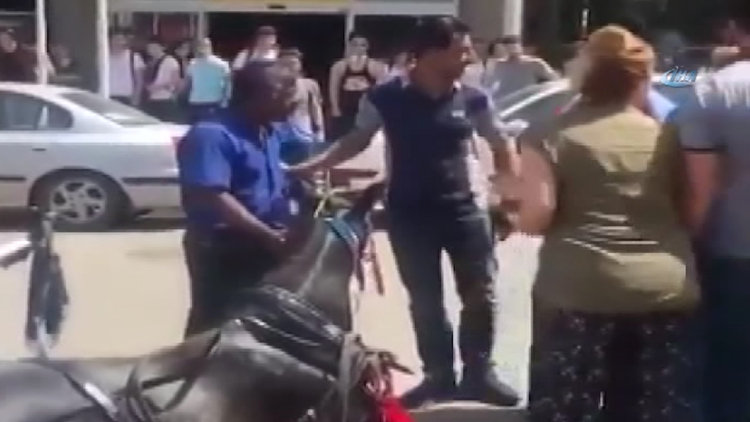 Faytona koşturulan at, aşırı sıcaktan yere yığıldı