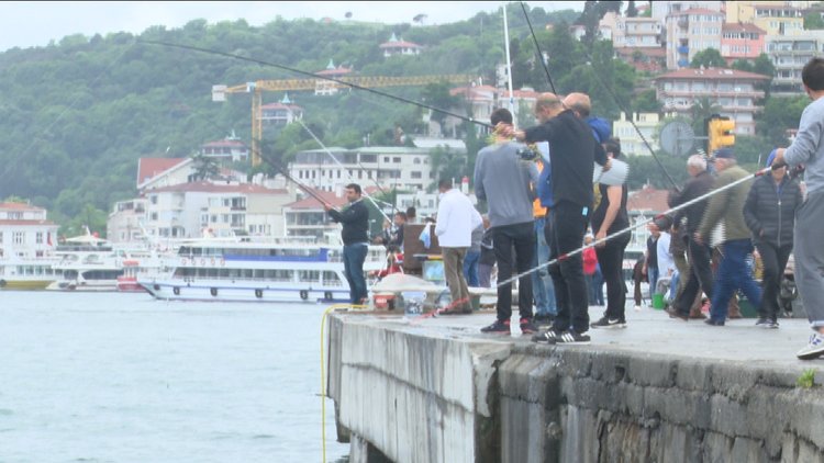Boğaz&#039;da balık bereketi... Oltalar boş kalmıyor!