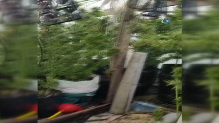 Evini uyuşturucu merkezine çevirdi, gazetecilerin sorusuna hepsini içecektim diyerek cevap verdi