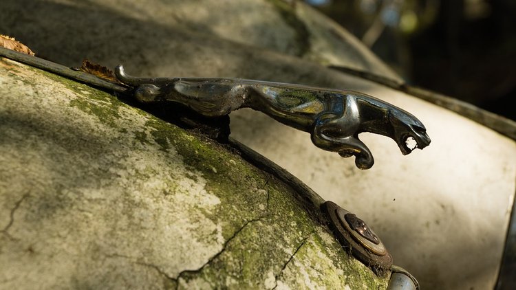 Klasik otomobillerin amblemleri ne anlama geliyor?